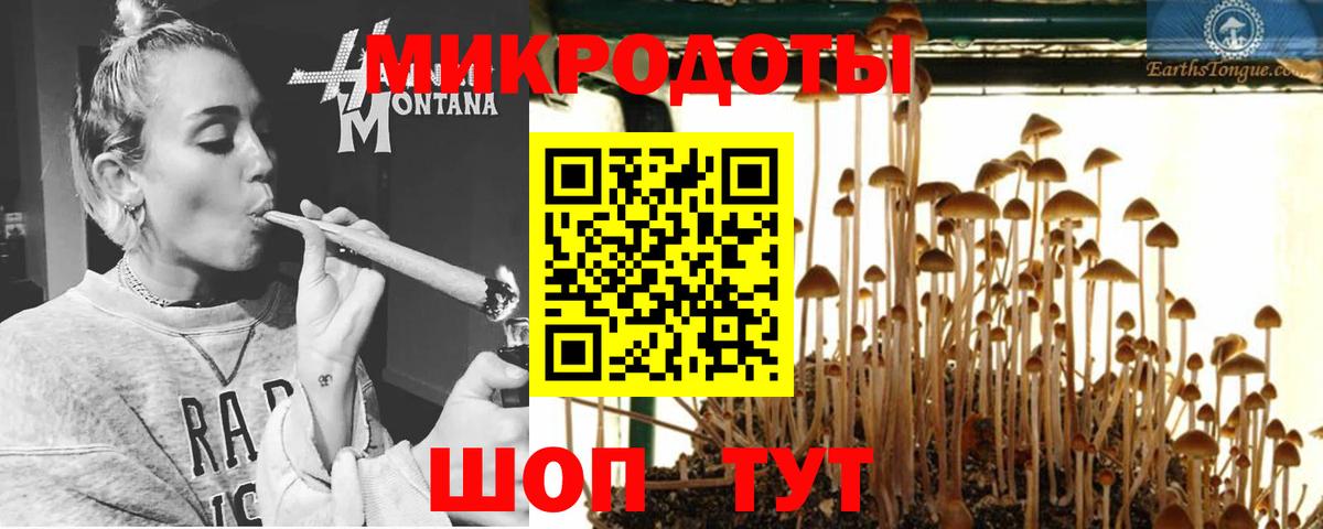 Нижний Тагил  Галлюциногенные грибы мухоморы  Вход с VPN 